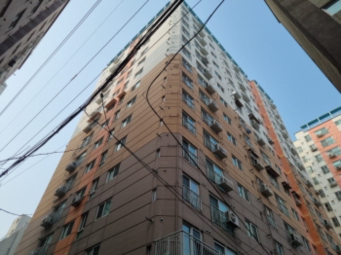 다우림 2차 인천광역시 남구 숭의동 147-63 실거래가 외 - 디스코